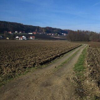 St. Ruprecht Hobbylauf, Oststeiermark