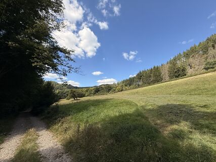Fotografia z Koen De Wit na trase