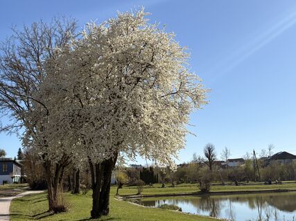 Foto de Nina Astleitner a lo largo del recorrido