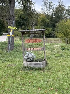 Foto de Nóra Elek 1 a lo largo del recorrido