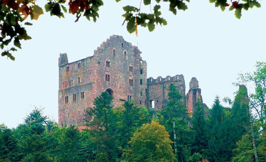 Die Burgruine Hohengeroldseck