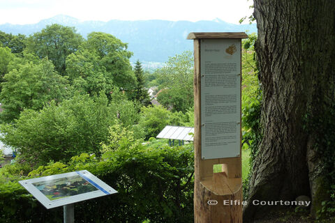 Fernwanderweg - Meditationsweg, 2. Etappe - Stele am Münterhaus