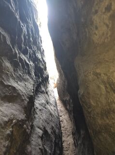 Foto von Wunderlich entlang der Tour