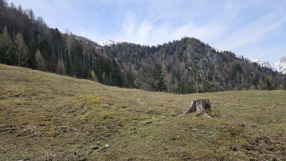 Fotografija s spletne strani kriessda na poti