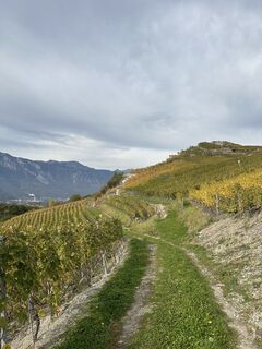 Fotografia z Sylviegex78 na trase