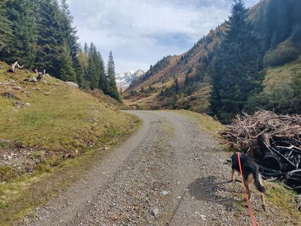 Photo de Xenia Lange le long du parcours