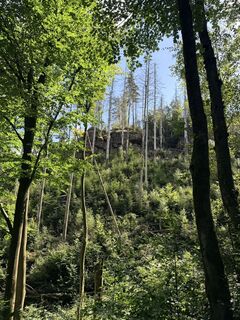 Foto von Paul entlang der Tour