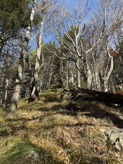 Foto von Anne Müller entlang der Tour