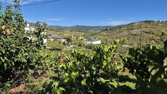 Photo de Verena Ma le long du parcours