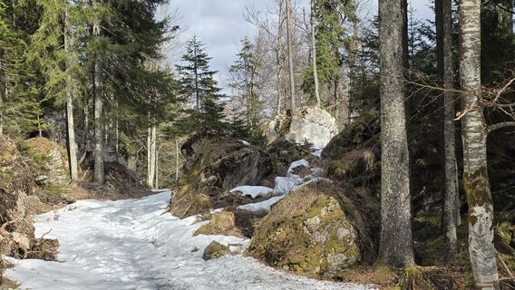 Foto von euterpe42 entlang der Tour