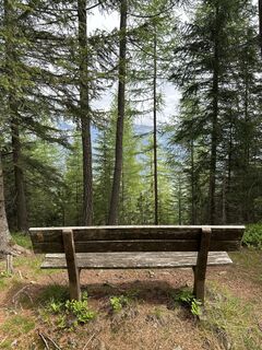 Fotografia z Thomas Trautwein na trase