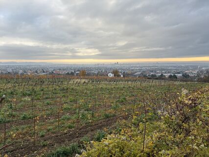 Foto von Martin1967 entlang der Tour