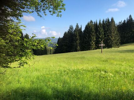 Hirtenwiese