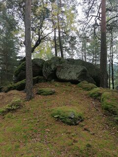 Foto fra Dragoljub Ilic undervejs på turen