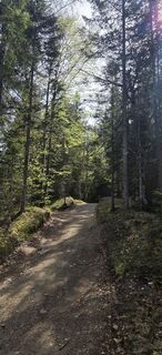Photo de Andy Schennach le long du parcours