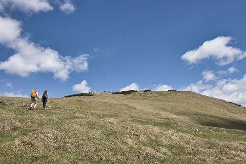 Am Gipfelplateau 