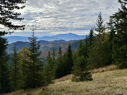 Photo from voeslauer along the tour