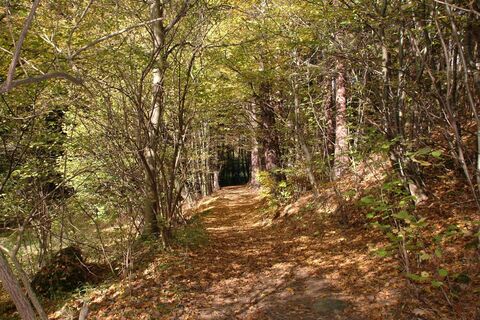 Themenwanderweg