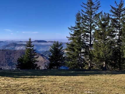 Photo de Leo Fahrngruber le long du parcours