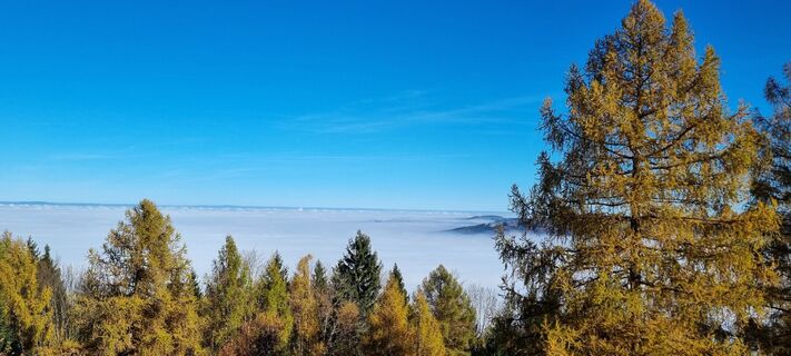 Foto von Gabi G entlang der Tour