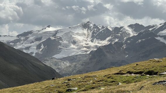 Fotografia z Robert Fritz na trase