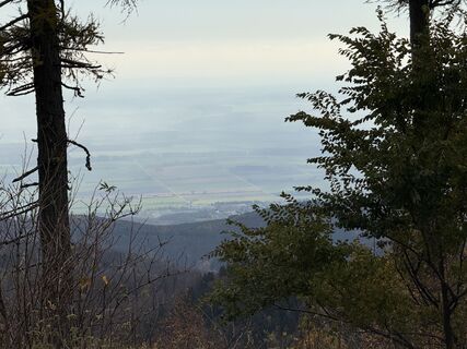 Fotografia z Richard Huber na trase