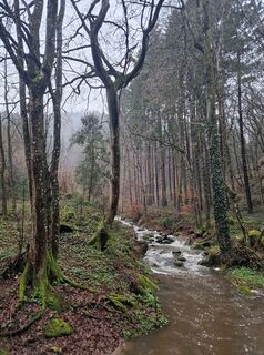 Zdjęcie z Hubert Martin wzdłuż trasy