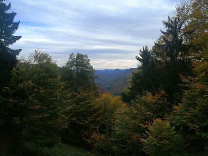 Foto von Christina Turnwald entlang der Tour