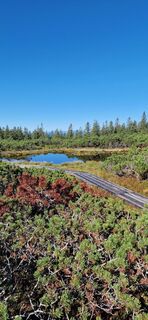 Foto von Roman Kramer entlang der Tour