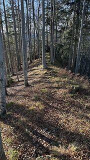 Fotografia z Tommy1985 na trase