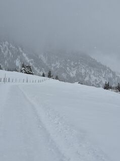 Photo de Anja Mohn-Gross le long du parcours