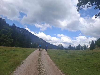 Foto von Michaela Schnetzinger entlang der Tour