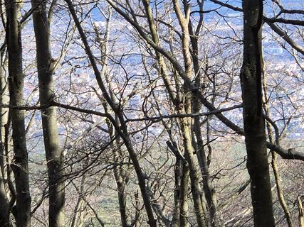Foto von josef duermoser entlang der Tour