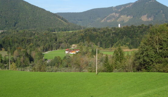 Zemljevid