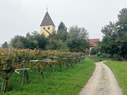 Foto fra simone ravasi underveis på turen