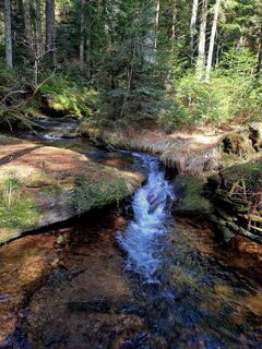 Photo de Nella le long du parcours