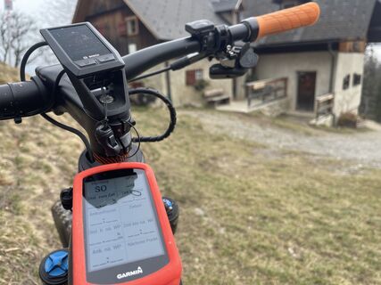 Foto von firebird 93 entlang der Tour