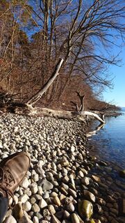 Starnberger See