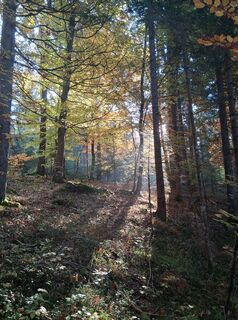 Photo de Bettina Unterweger le long du parcours
