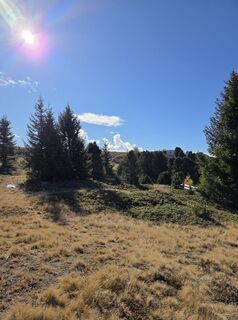 Foto fra Michaela Köhler underveis på turen