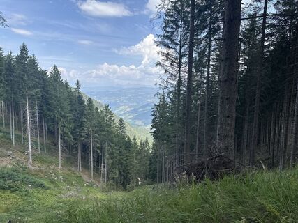 Foto de Marion P. a lo largo del recorrido