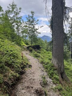 Foto de Lothar a lo largo del recorrido