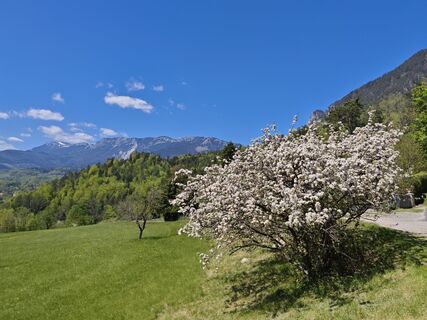 Foto von Bergpirat entlang der Tour