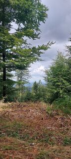 Foto von Claudiwandern entlang der Tour