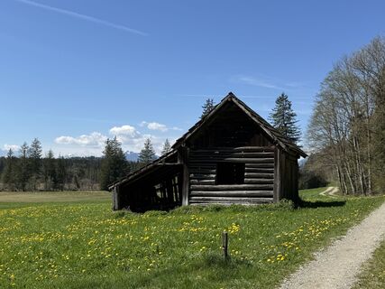 Zdjęcie z Denise Miller wzdłuż trasy