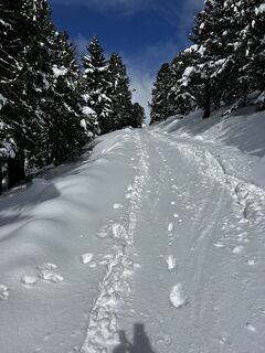 Zdjęcie z Schabsi wzdłuż trasy