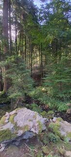 Photo de Dreas Reyem le long du parcours