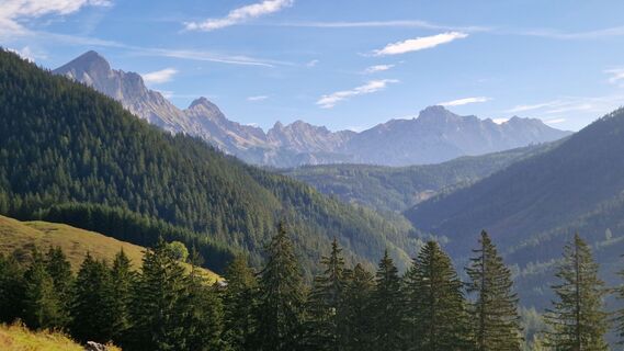 Fotografia z Jürgen Fuchsberger na trase