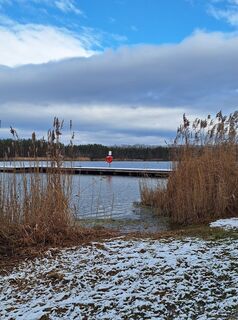 Photo de Mimi le long du parcours