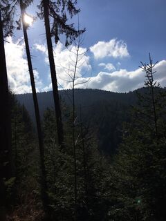 Foto de Ralf Umminger a lo largo del recorrido